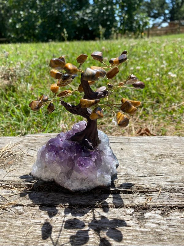 Arbre Œil de Tigre sur druse Améthyste